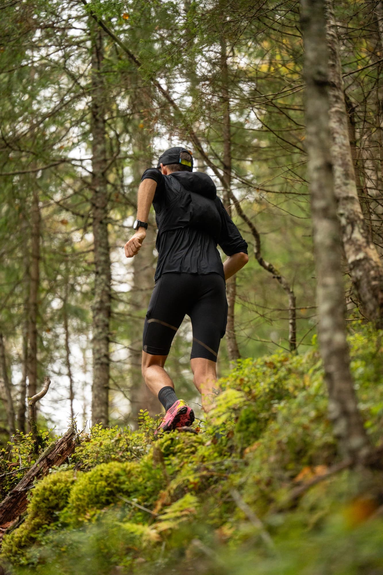 Trail runner i skogen